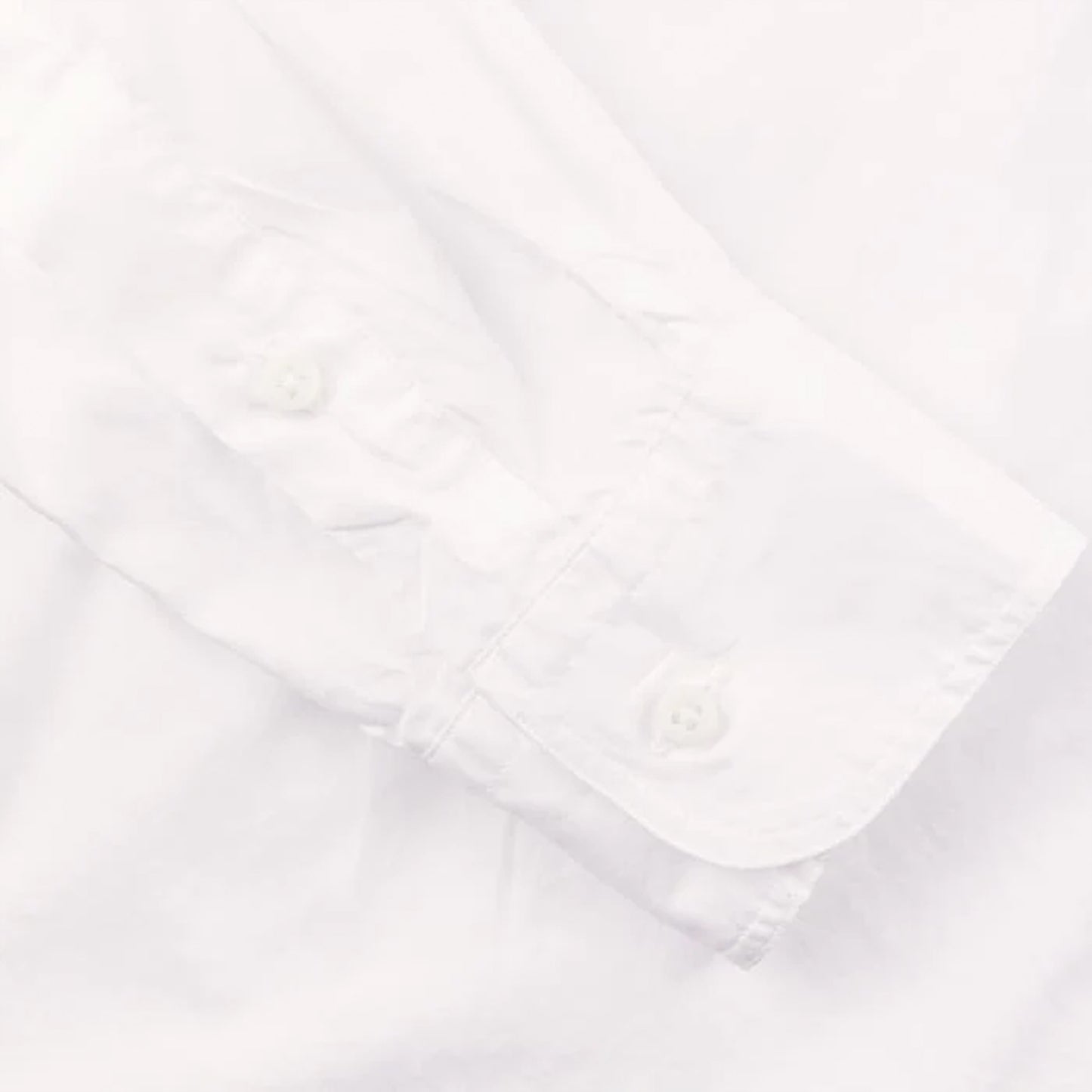 Zephyr Oxford Button Down White