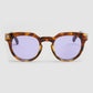 Totó Tortoiseshell