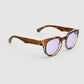 Totó Tortoiseshell