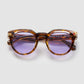 Totó Tortoiseshell